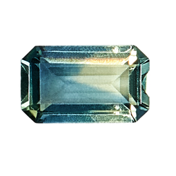 F797 - Montana Blue-Green Bi-Color Sapphire