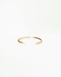 Gold Open Slice Ring