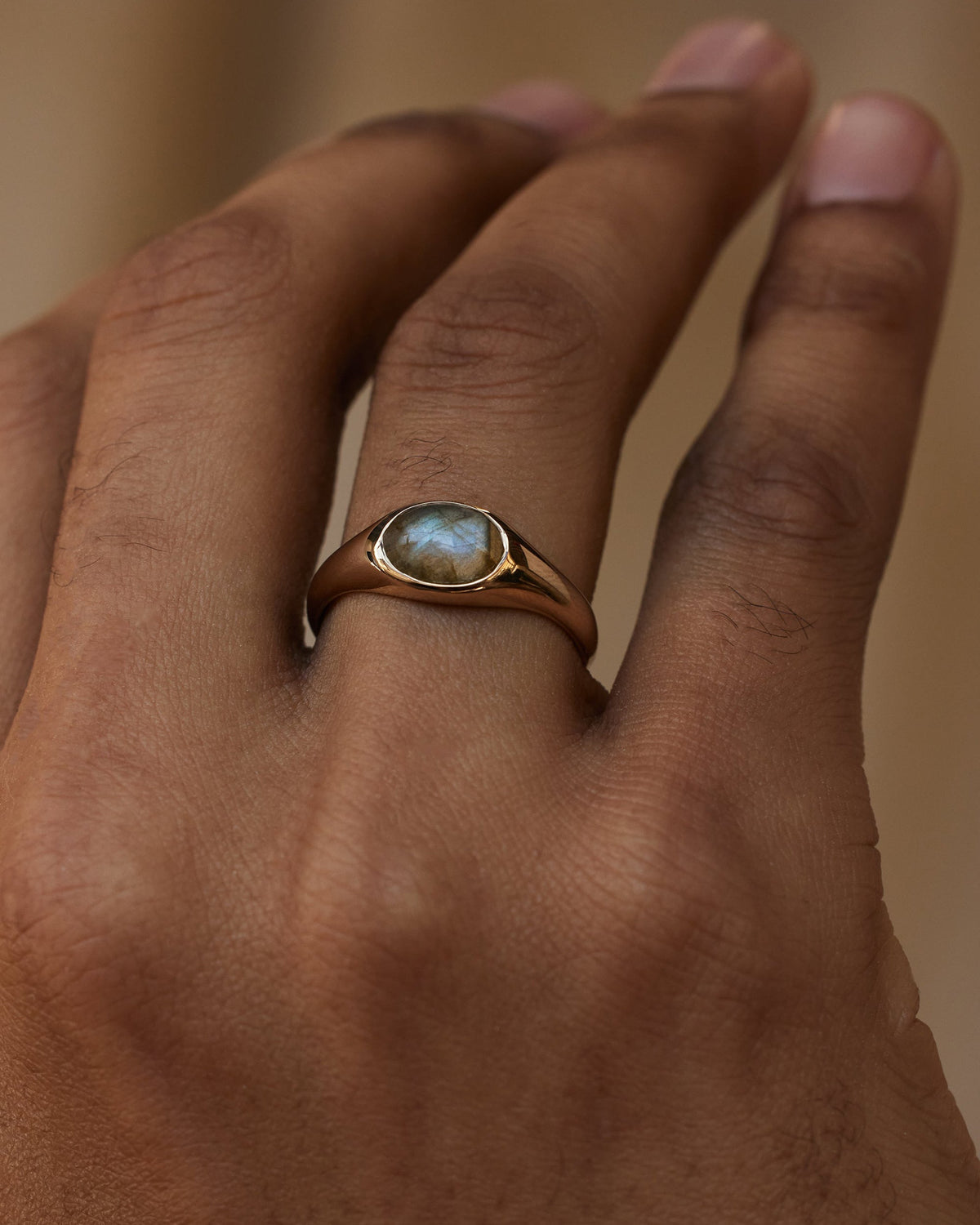 Labradorite Ellipse Signet Ring