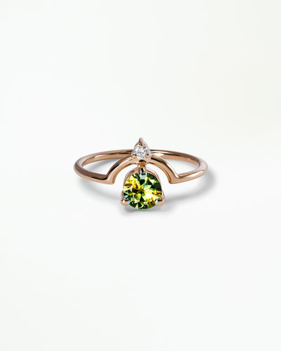 Medium Round Cut Sapphire and Diamond Nestled Ring